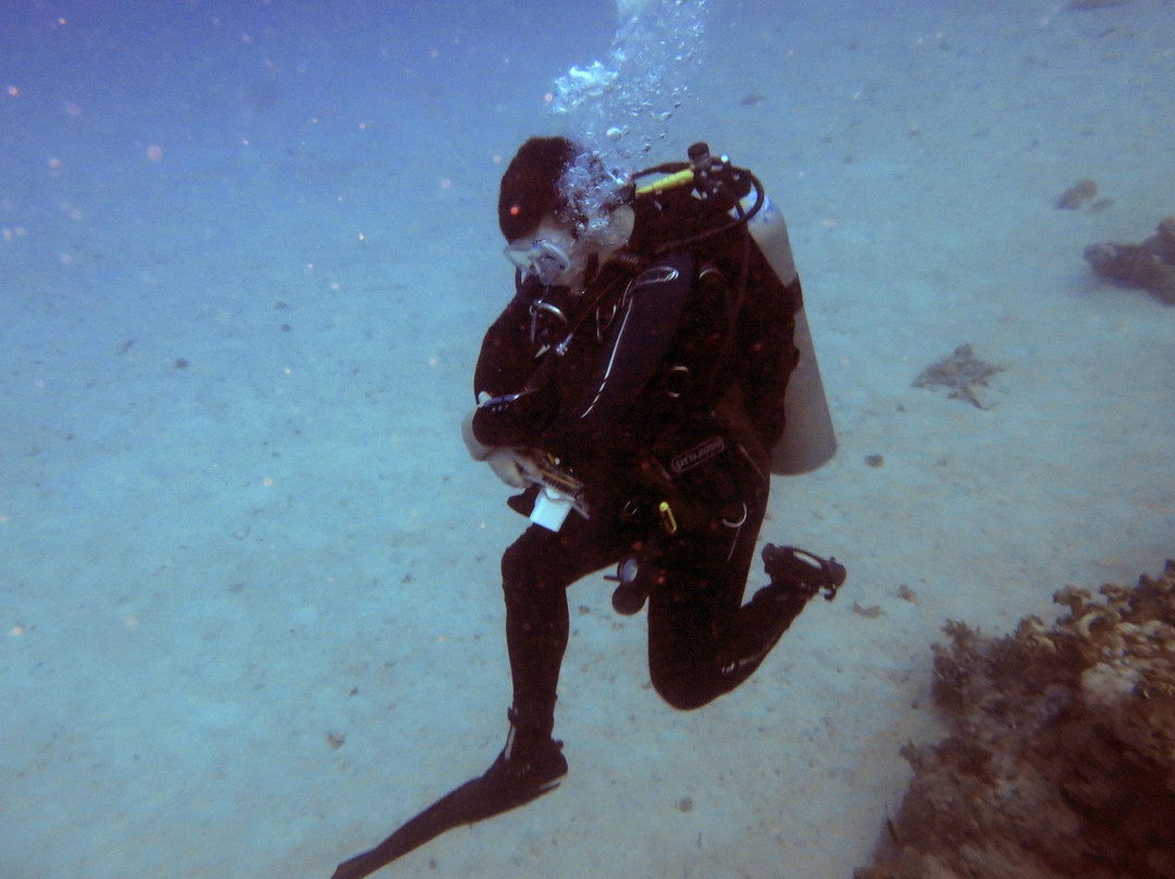 Scuba Diving North West景点图片