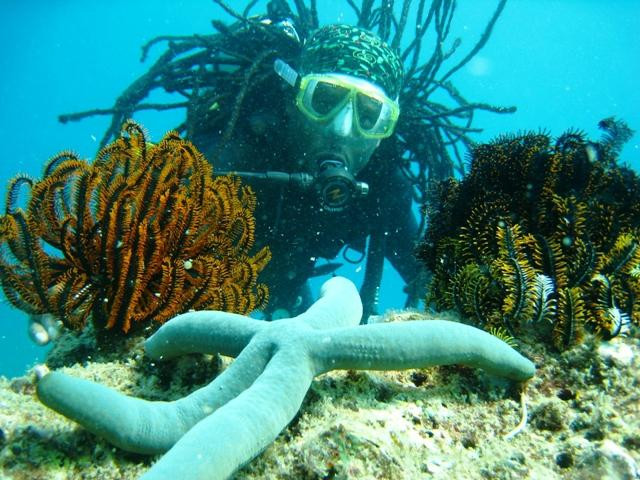 悦活越南－户外活动与潜水中心-芽庄必去景点