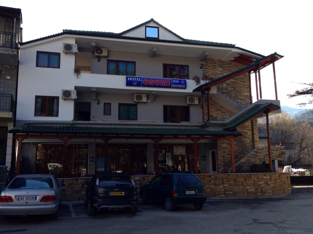 Hotel Osumi