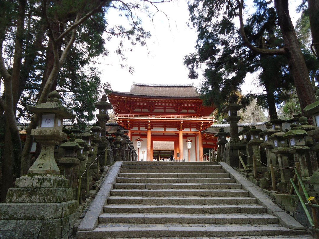 春日大社-奈良市必去景点