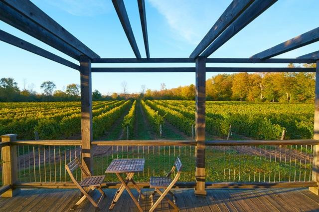 By Chadsey's Cairns Winery and Vineyard景点图片