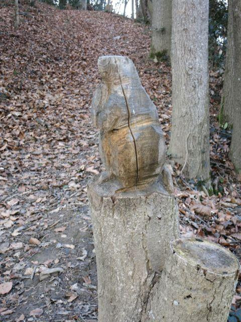 Vita Parcour Oberriet-Oberriet必去景点