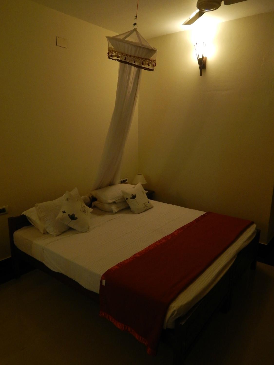 Dr. Franklin's Panchkarma Research Centre Hotel-客卧
