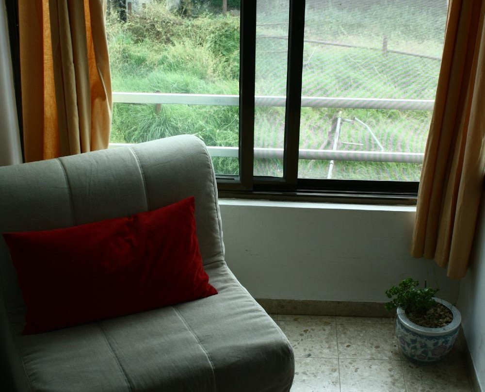 Cactus Tzimmer主图