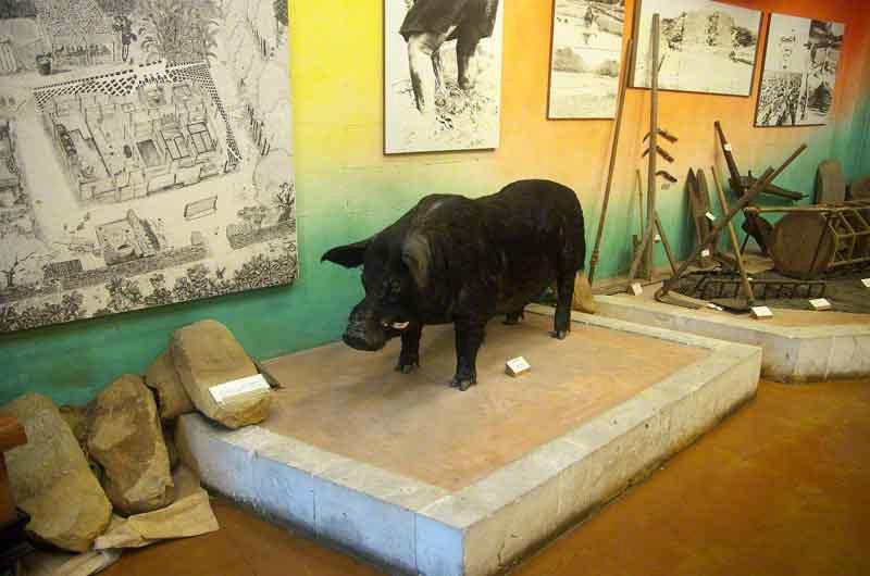 Nago Museum-名护市必去景点