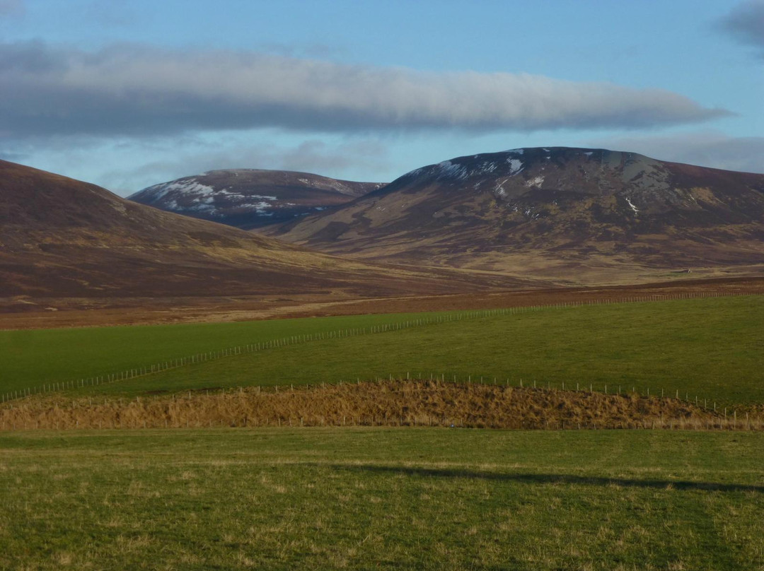 Glenlivet Wildlife景点图片
