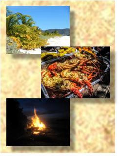 Isle of Reefs Tours - Day Tours景点图片