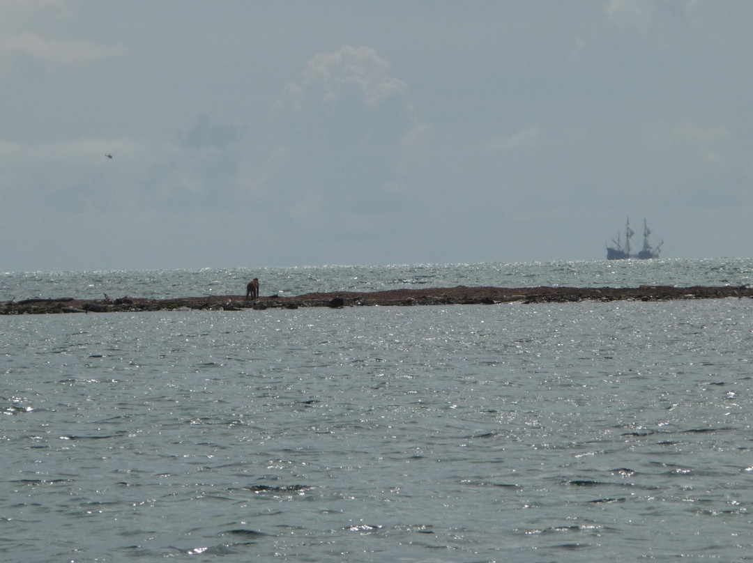 La Paseadora Cruise to Monkey Island景点图片
