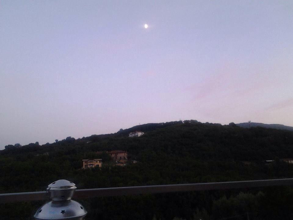 Il Caffe' Letterario景点图片