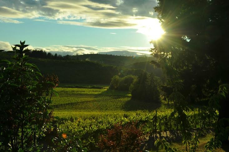 Airlie Winery-Monmouth必去景点