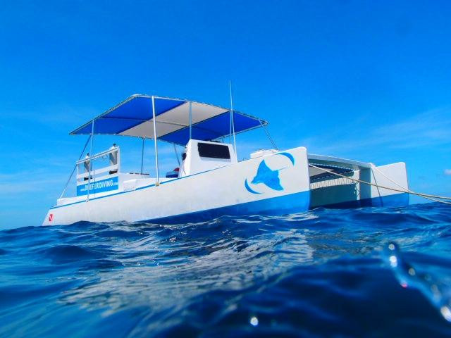 Deefer Diving Carriacou景点图片
