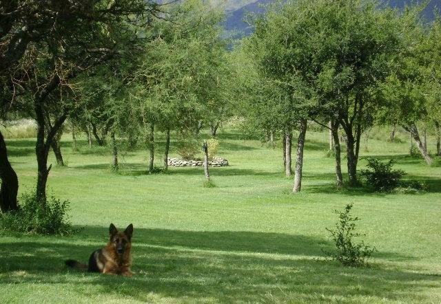 El Choique Hotel Rural主图