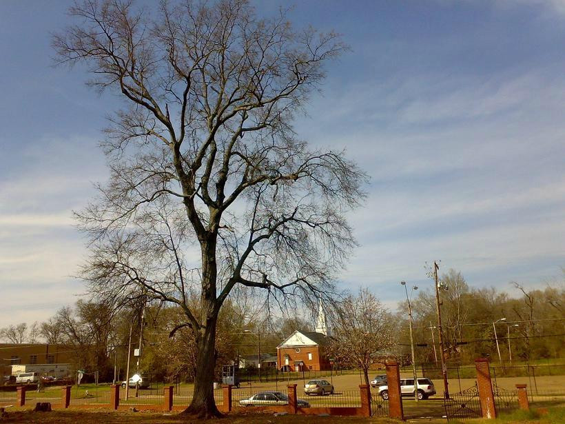 Jackson State University景点图片