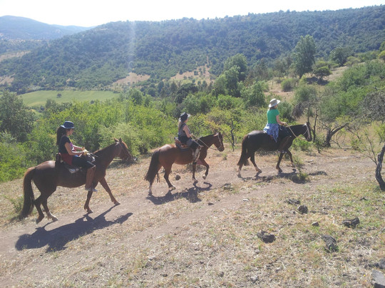 Horseback Rides Santa Cruz-圣克鲁斯必去景点