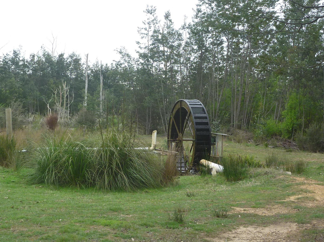 41 South Salmon and Ginseng Farm and Cafe-德洛兰恩必去景点