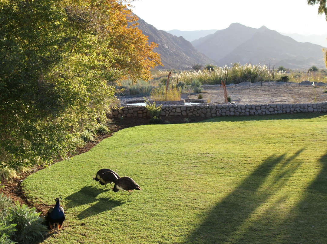 Klein Pella Guest House主图