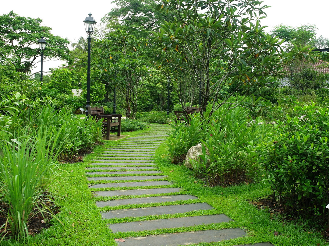 新加坡植物园-新加坡必去景点