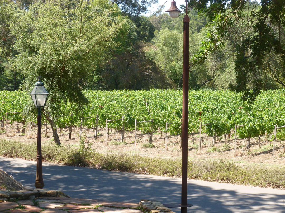 Hendry Ranch Wines-纳帕必去景点