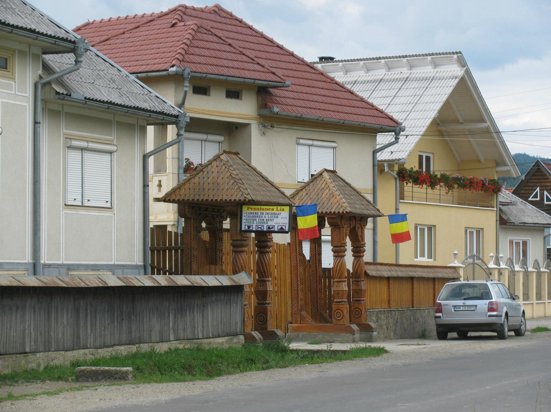 Pensiunea Lia Barsana主图
