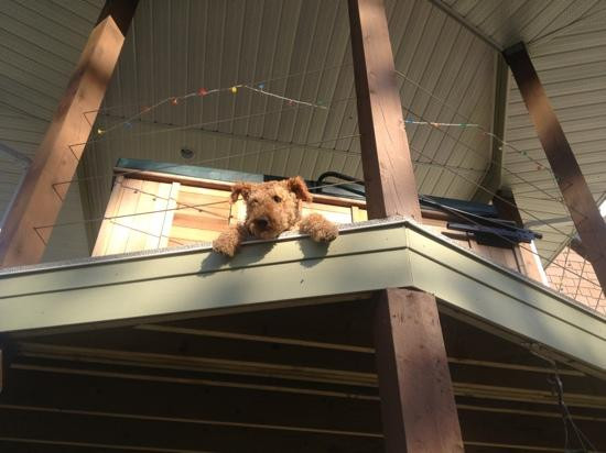 Scotia Bay Bed and Breakfast主图