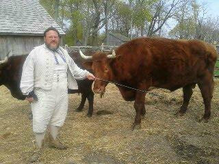 Coggeshall Farm Museum-布里斯托尔必去景点