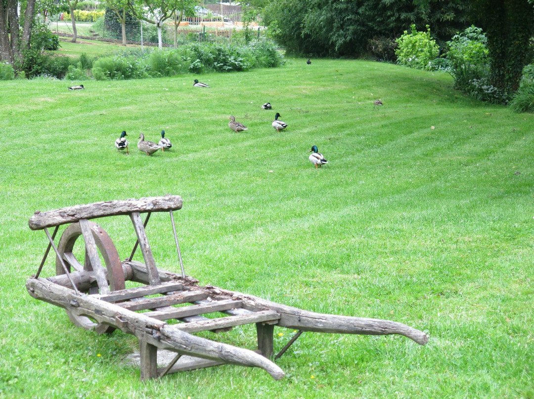 La Roche Buard主图