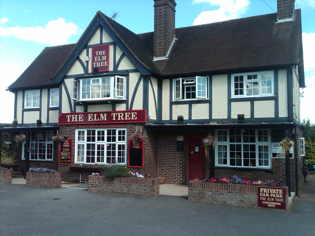 The Elm Tree