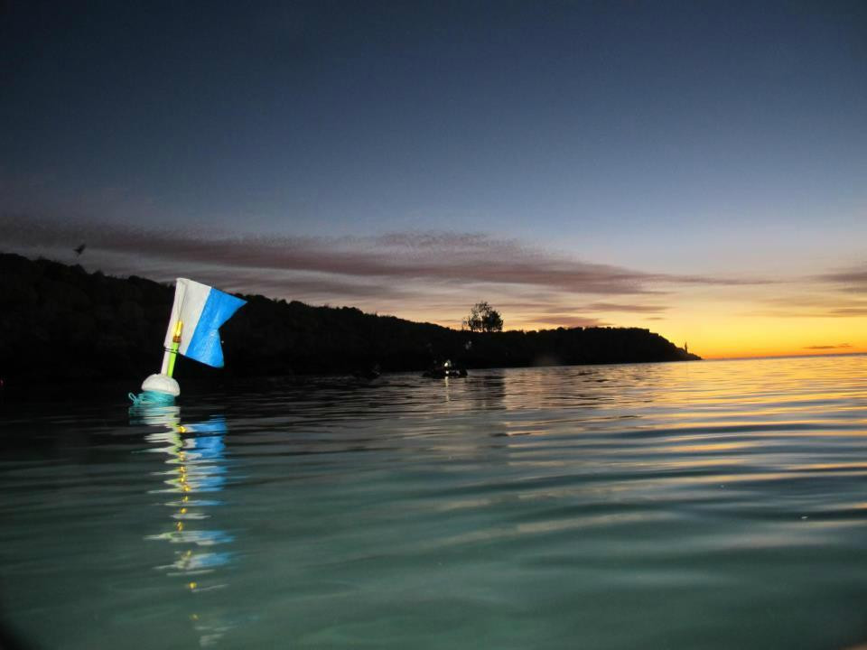 Dolphin Dive Fremantle-弗里曼特尔必去景点