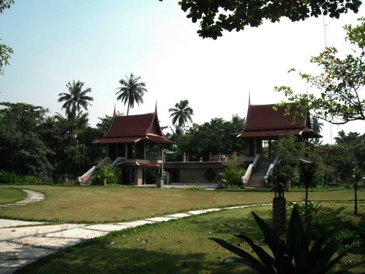 Siamese Fighting Fish Gallery-帕巴登必去景点