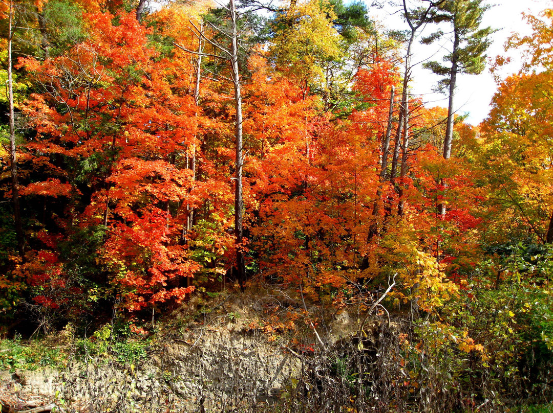 爱德华公园-多伦多必去景点