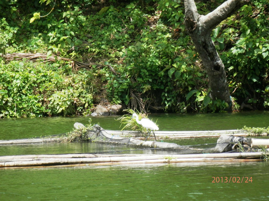 Lake Pandin-圣巴勃罗必去景点