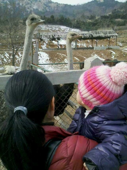 青岛森林野生动物世界-青岛市必去景点