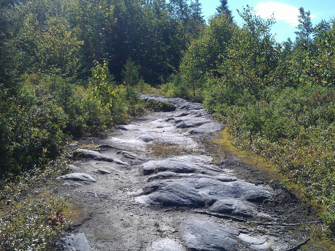 Boise de la Pointe St Gilles-Baie Comeau必去景点