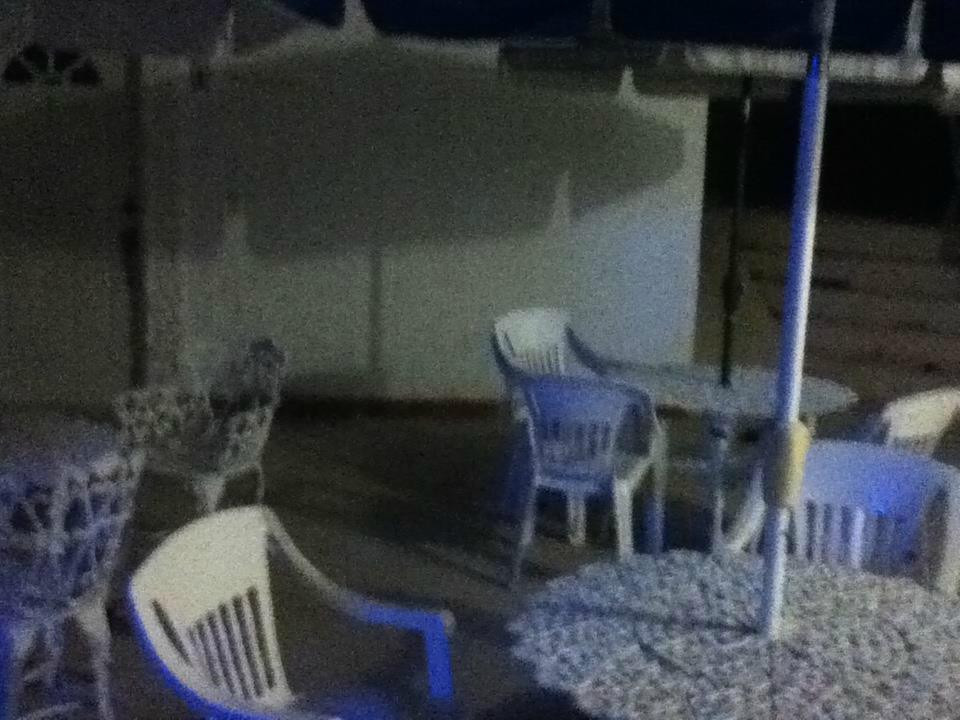 Fiesta Portola