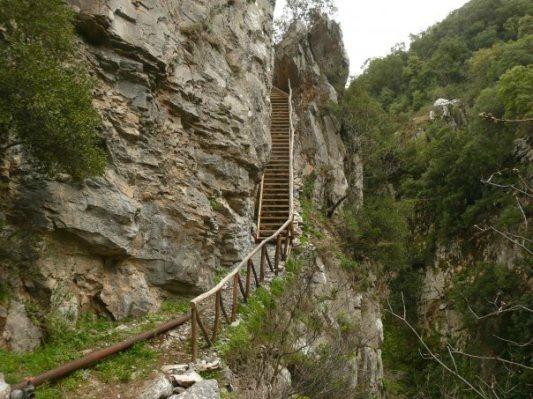 Vrisiotikos Canyon (Canyon Milon)景点图片