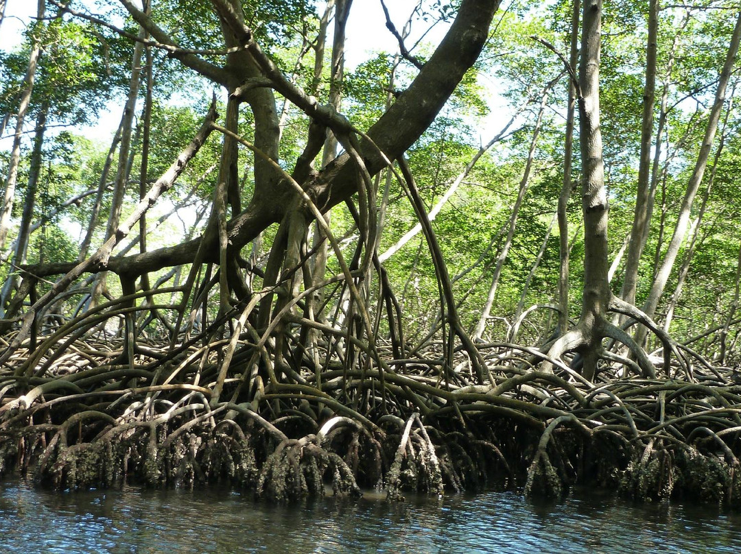 Epona Ranch-拉斯特拉纳斯必去景点