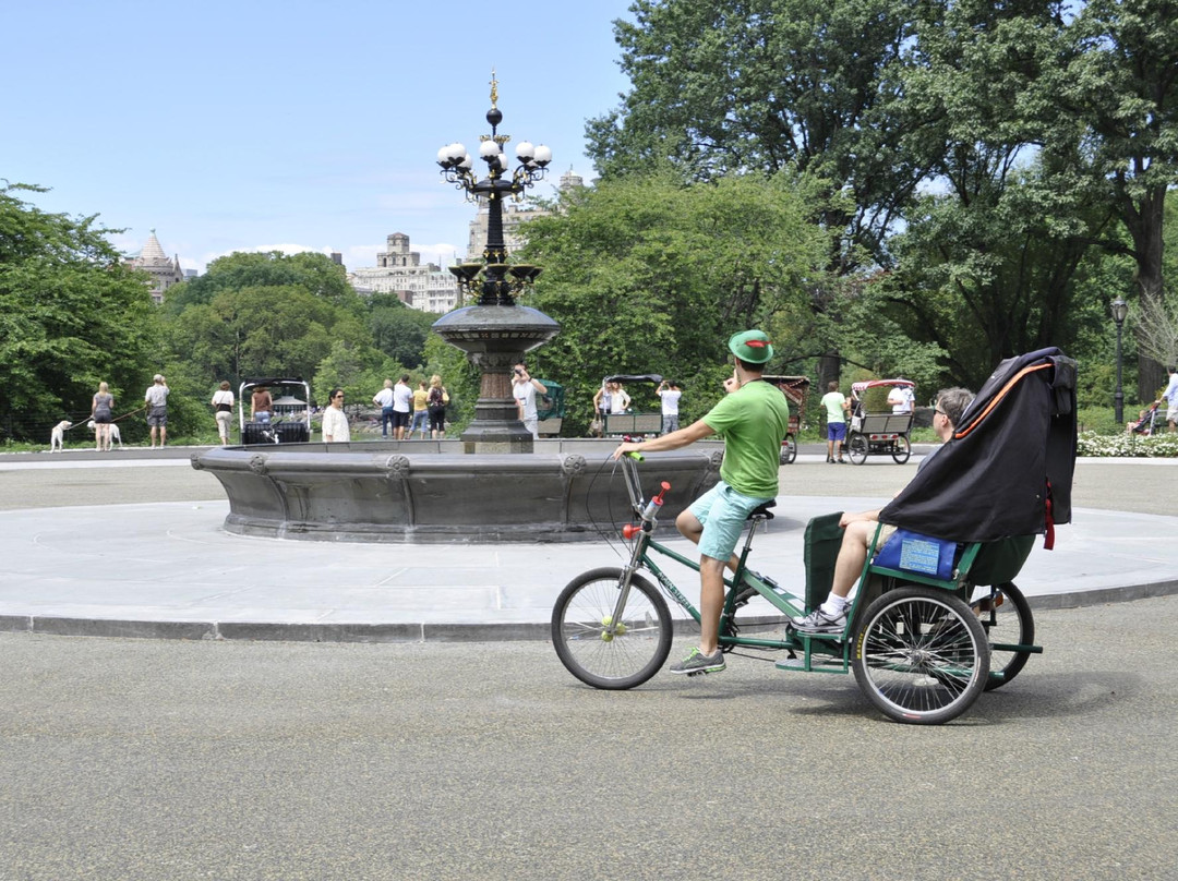 Peter Pen Tours of Central Park-纽约市必去景点