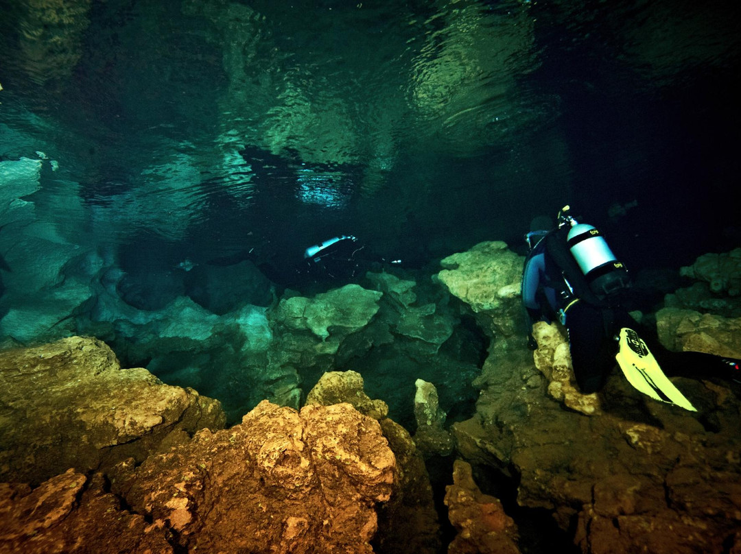 Sarda Divers - Dive Center-Fertilia必去景点