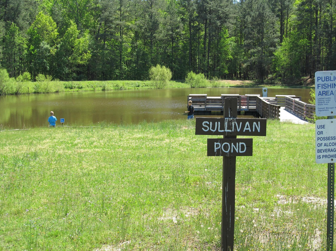 Pee Dee National Wildlife Refuge景点图片