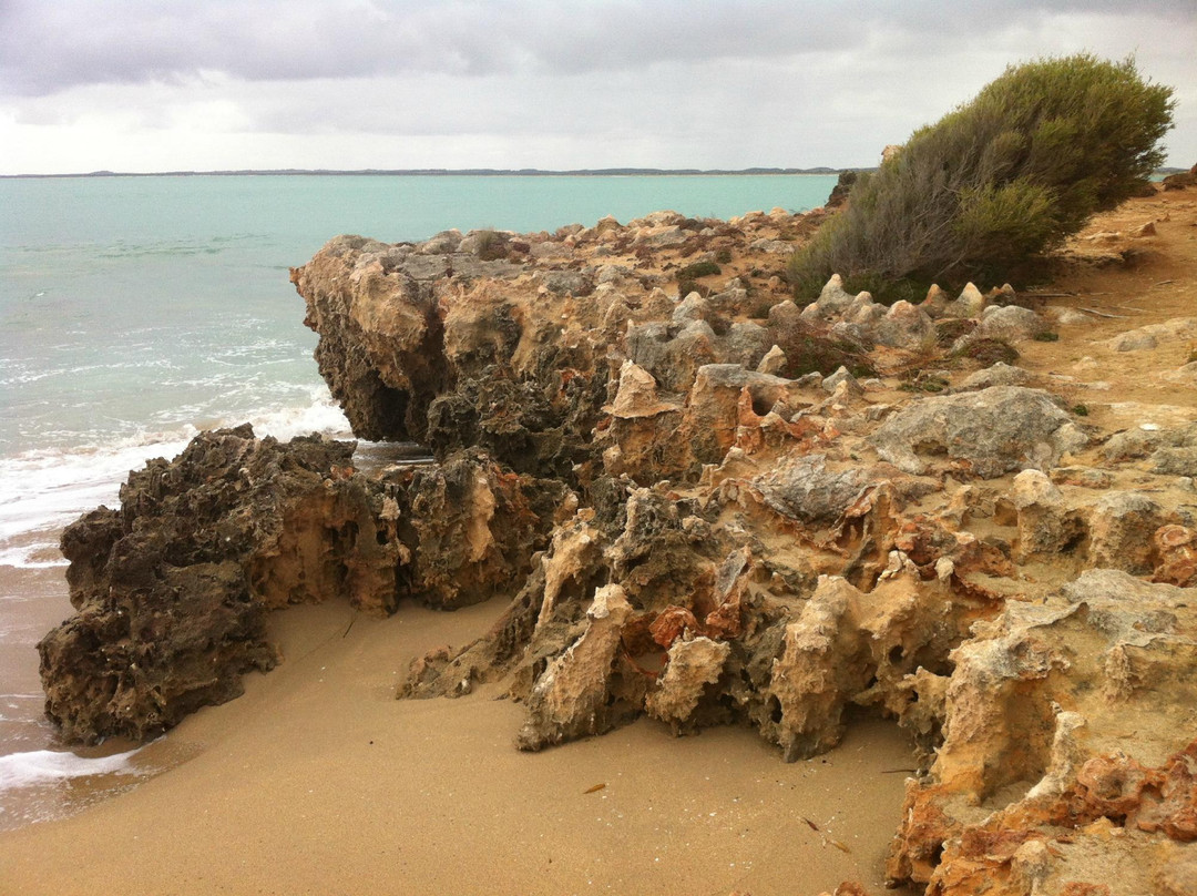 Robe Beach-罗布必去景点