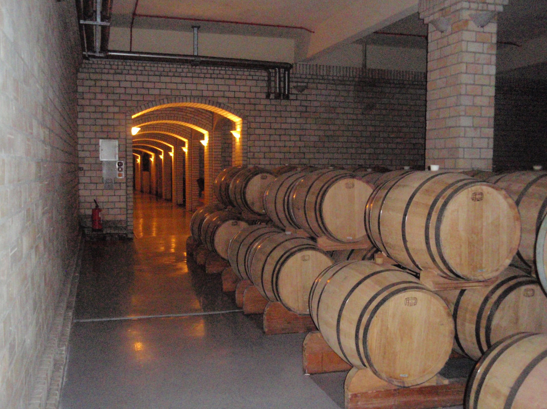 Miolo Wine Group-本图贡萨尔维斯必去景点