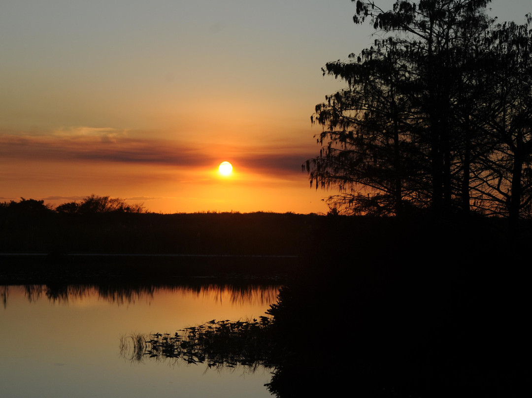 Arthur R. Marshall Loxahatchee National Wildlife Refuge-博因顿海滩必去景点