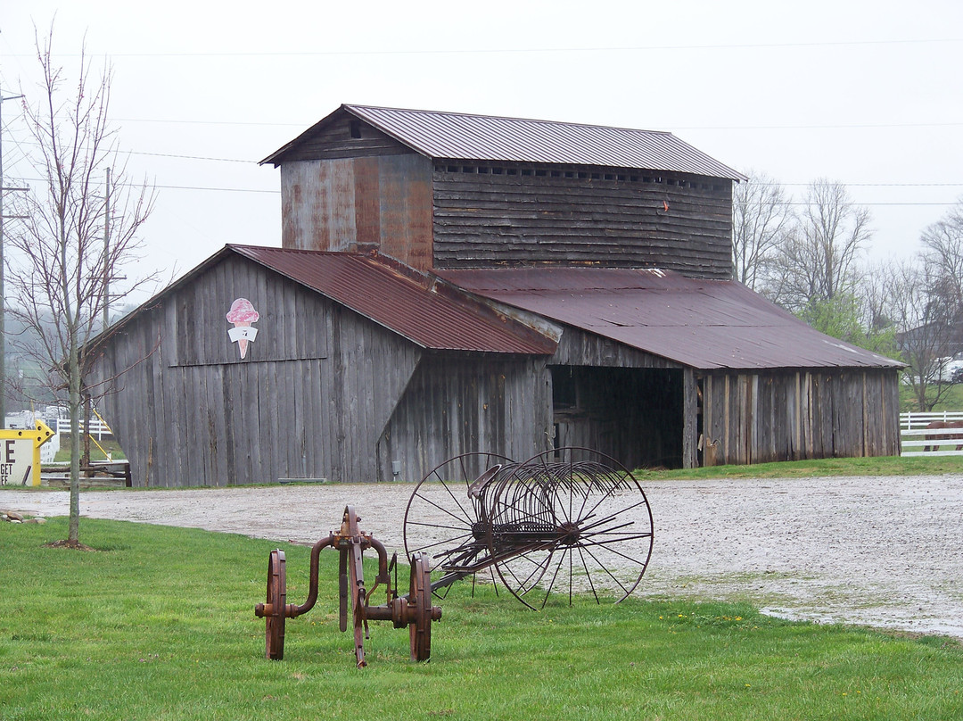 Rocky Top Country Store-塞维尔维尔必去景点