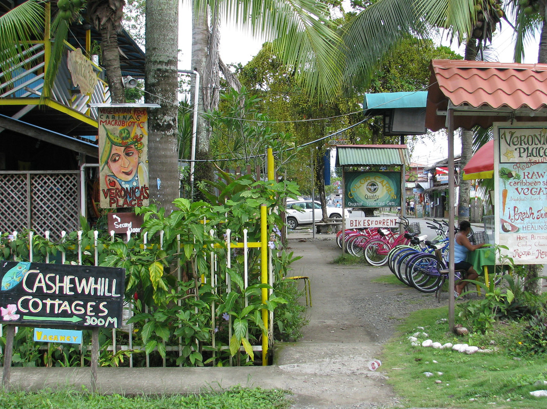 Playa Puerto Viejo景点图片