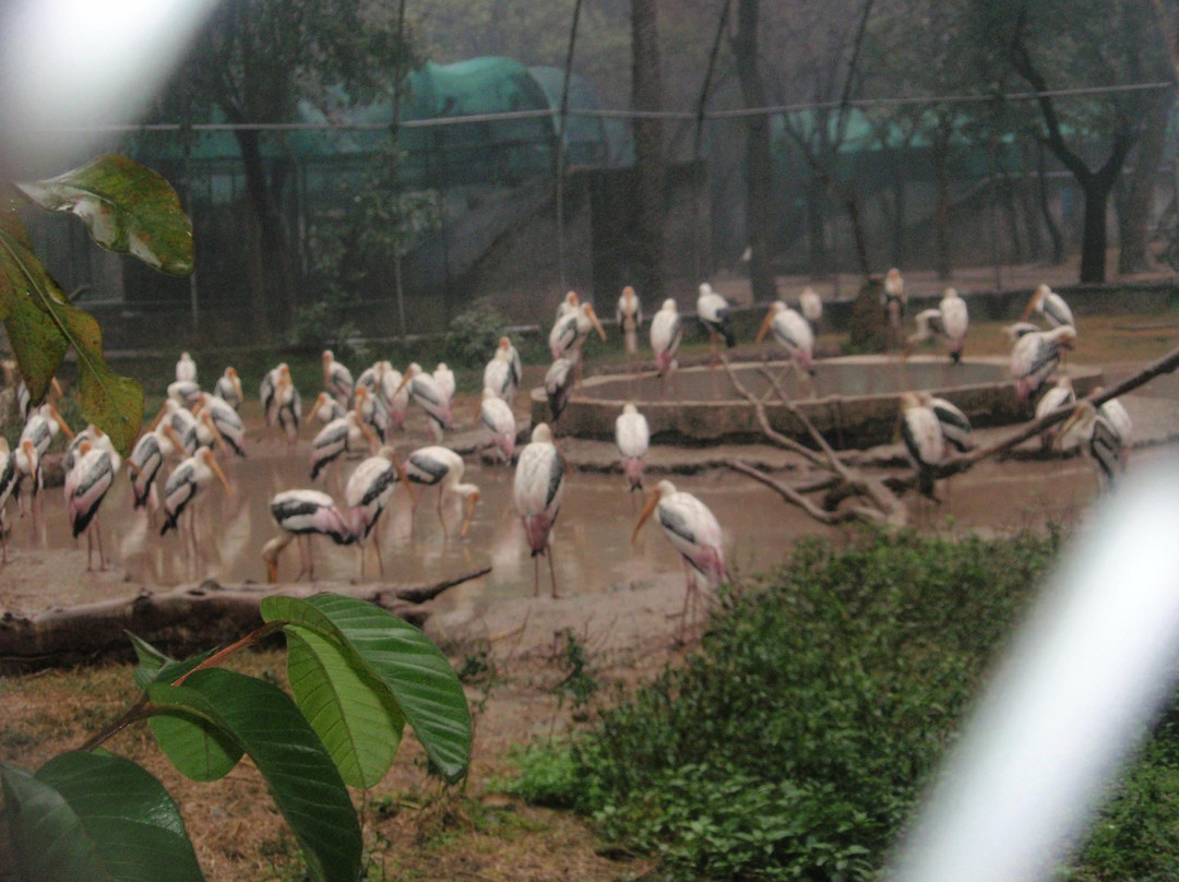 ChhattBir Zoo-Panchkula必去景点