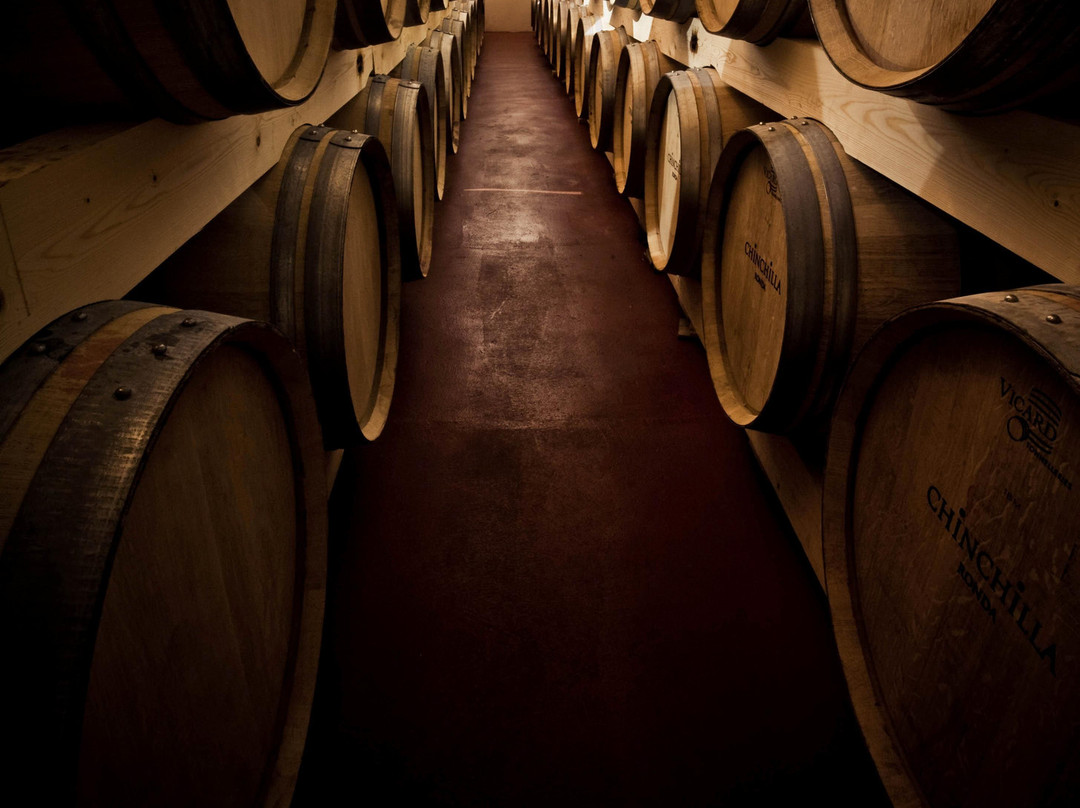 Dona Felisa Winery景点图片