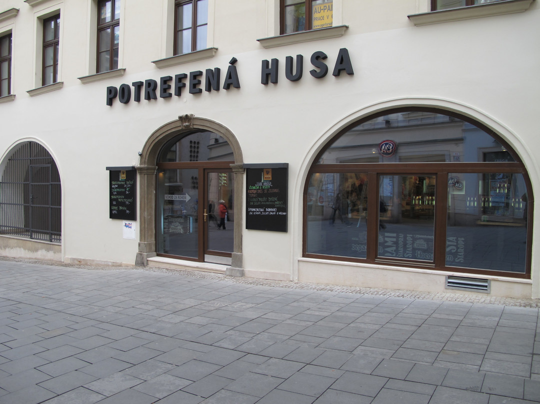 Potrefena Husa