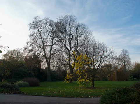 玛莉皇后花园-伦敦必去景点