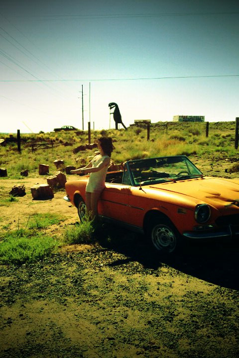 Stewart's Petrified Wood-霍尔布鲁克必去景点