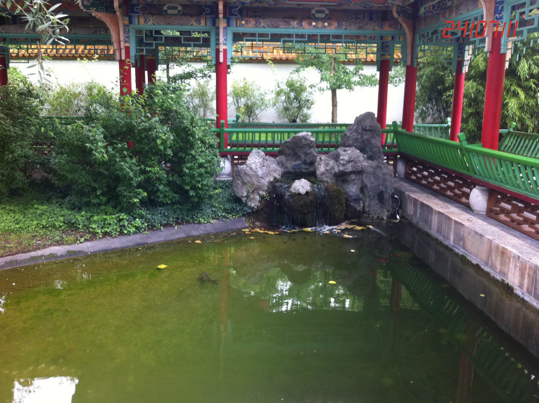 Jardin Chino De Zúrich-苏黎世必去景点